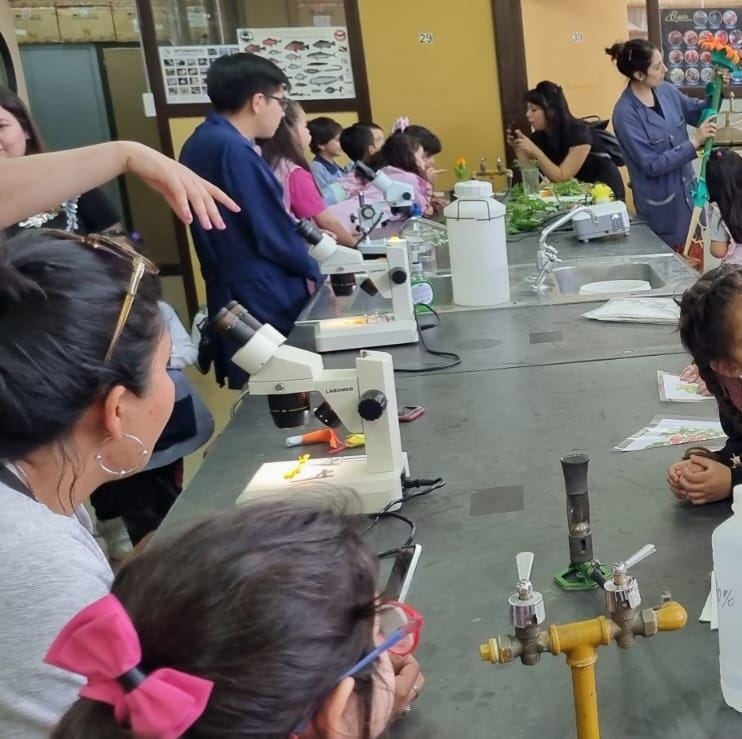 Actividad Pequeños Botánicos