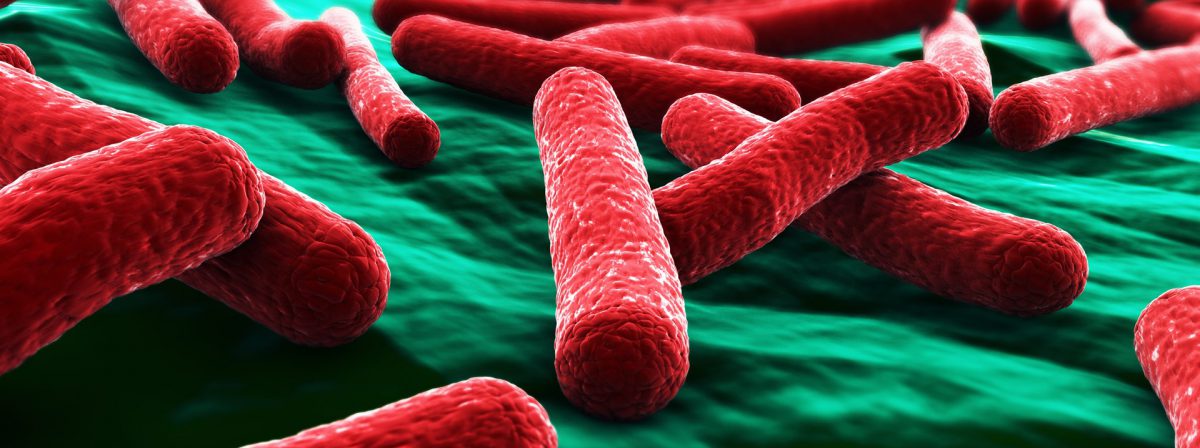 Microbiología General